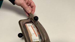 Bankitalia,meno prestiti bancari garantiti dallo Stato, tassi Npl superiori al 2024