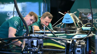 Alonso, Stroll fear 'permanent nerve damage' from vibrating Aston Martin