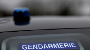 Fin de l'alerte enlèvement dans l'Orne, la fillette pas retrouvée