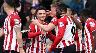 Angleterre: la belle histoire de Sunderland, le p&eacute;tillant promu