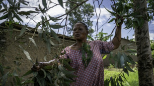 RDC: les gu&eacute;risseurs traditionnels en premi&egrave;re ligne face &agrave; Ebola
