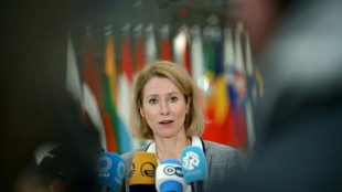 EU nimmt Kontakt zu syrischer F&uuml;hrung auf - Deutscher Diplomat in Damaskus erwartet