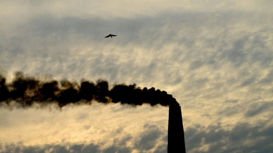 Un proc&egrave;s historique sur le climat devant la Cour de La Haye