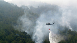 Heftiger Brand in einem der gr&ouml;&szlig;ten Nadelw&auml;lder im Libanon ausgebrochen