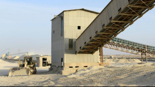 Morocco reaps cash, clout from fertiliser supply shock