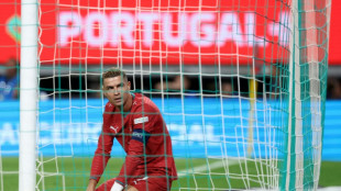 Ronaldo can return to Portugal team if he wants: coach Jesus