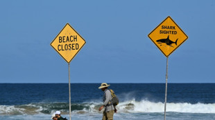Mulher morre e homem fica ferido em ataque de tubar&atilde;o na Austr&aacute;lia
