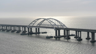 Ukraine: attaque contre un p&eacute;trolier russe, tensions croissantes en mer Noire