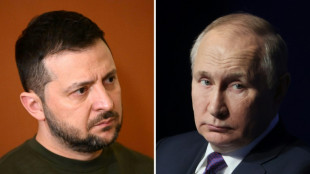 Putin y Zelenski, un enfrentamiento b&eacute;lico en las ant&iacute;podas
