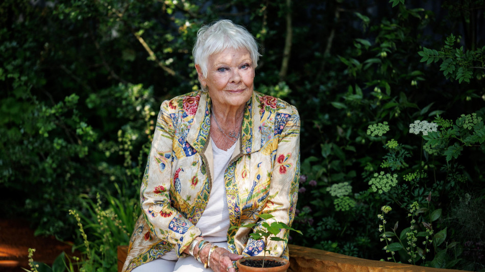 Judi Dench, a causa della macula &egrave; praticamente cieca