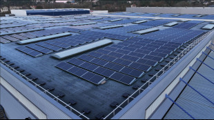 Nel 2025 gli investimenti in rinnovabili tengono, boom per lo storage