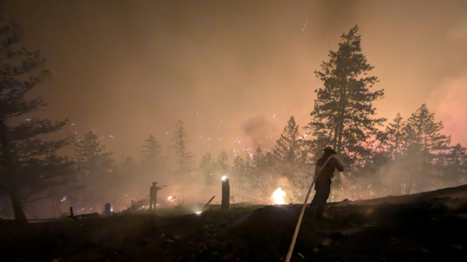 Waldbr&auml;nde in Kanada: Notstand in Provinz British Columbia ausgerufen