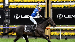 Gold Trip wins horse racing's Melbourne Cup as favourite fourth