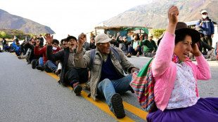La UE exhorta al nuevo gobierno de Per&uacute; a respetar los DDHH tras 21 muertos en las protestas