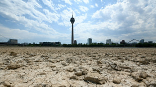 Voraussichtlich zweitw&auml;rmster Sommer seit Aufzeichnungsbeginn in Deutschland