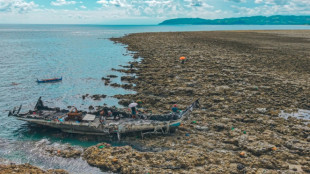 Deadly Philippines quake turns seabed into shore