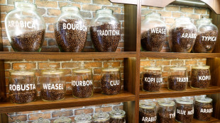 Cresce export caff&egrave; dal Vietnam, a gennaio 180mila tonnellate anche verso l'Italia