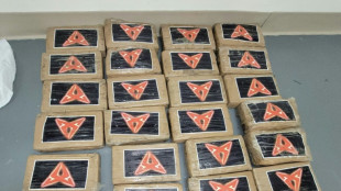 Hurricane Debby blows $1 mn in cocaine onto Florida beach