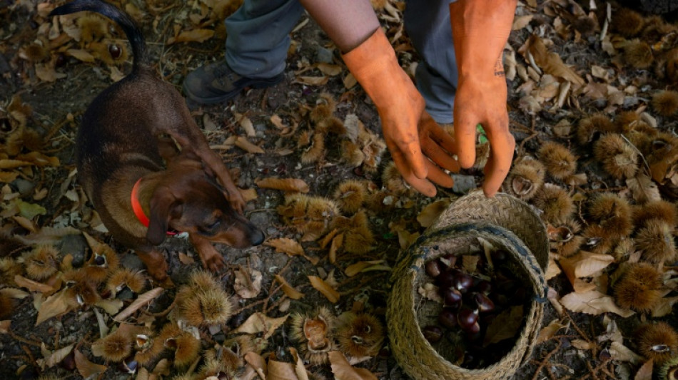 El desempleo en Espa&ntilde;a registra un ligero aumento en el tercer trimestre, al 10,45%