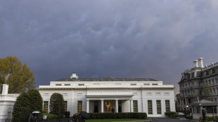 Casa Bianca, Trump non ha ancora approvato la tregua di 45 giorni