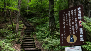 Japan governor asks for military help against 'dire' bear attacks