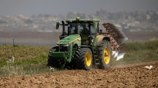 En Israël, des agriculteurs relancent un projet de production de tequila près de Gaza 