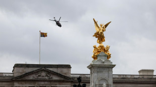Libertad bajo fianza para conductor que choc&oacute; contra la verja de Buckingham Palace