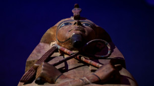 Sarcophagus of Pharaoh Ramses II unveiled in Paris

