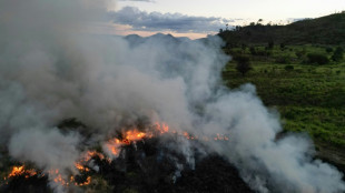 Qui met le feu à l'Amazonie ?