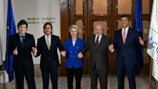 Libre &eacute;change: l'UE et le Mercosur concluent un accord qui doit encore &ecirc;tre ratifi&eacute; par les pays membres 
