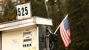 Surging costs of living top US voter concerns 