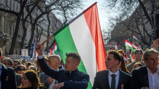 Vier Wochen vor der Wahl in Ungarn: Gro&szlig;demonstrationen beider Lager