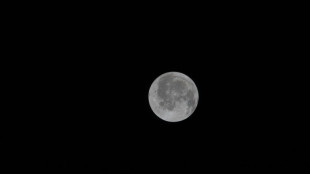 Les astronautes d'Art&eacute;mis &agrave; quelques heures de la Lune