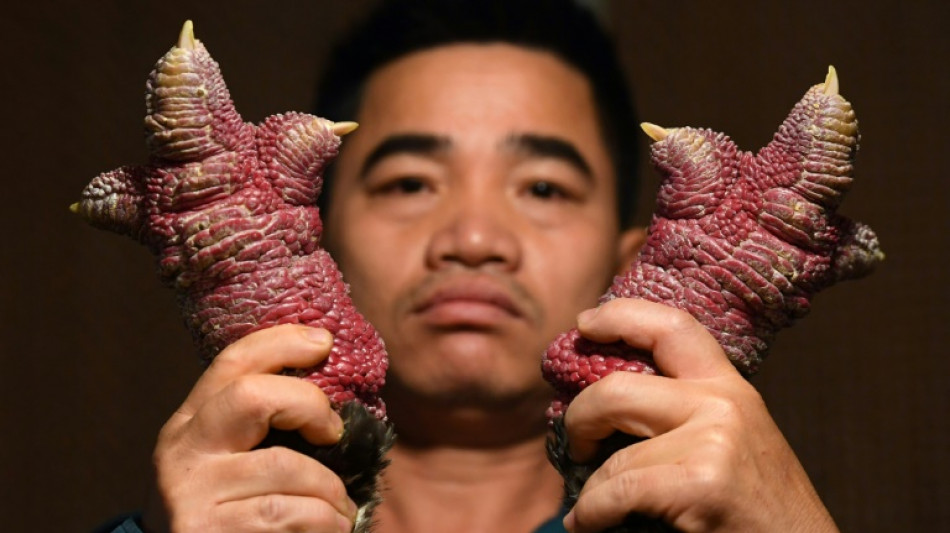 Vietnam: les pattes de "poulet dragon", un mets tr&egrave;s appr&eacute;ci&eacute; pour le nouvel an lunaire