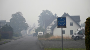 'Never seen one like it': German pensioners flee wildfire