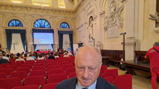 Ghiselli, 'forte avanzo per Inps nel 2025, c'è stabilità finanziaria istituto'