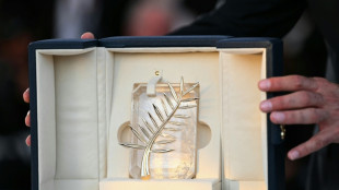 79e Festival de Cannes: les 22 films en comp&eacute;tition