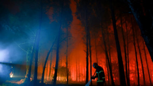 Landes : l'incendie a parcouru plus d'un millier d'hectares, les maisons sauv&eacute;es