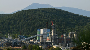 Fibre Excellence : dernier sursis avant liquidation pour l'usine de Saint-Gaudens