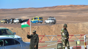 EuGH: Melonen und Tomaten aus Westsahara m&uuml;ssen entsprechend gekennzeichnet sein