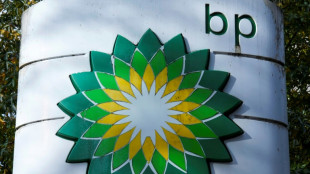 BP profits slide awaiting new CEO