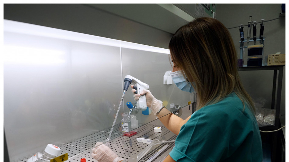 Individuato il codice a barre dei tumori