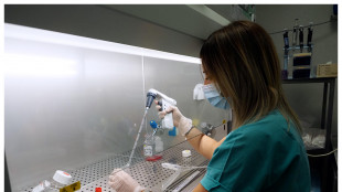 Scoperta una molecola chiave contro la degenerazione maculare