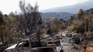Un morto in un incendio boschivo vicino Valencia in Spagna