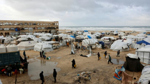 Egipto anuncia consenso para formar el comit&eacute; palestino que administrar&aacute; Gaza