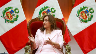 Flamante presidenta de Per&uacute; prev&eacute; anunciar nuevo gobierno para aplacar crisis pol&iacute;tica