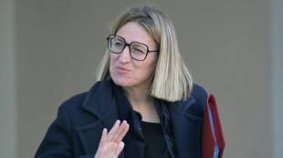 R&eacute;gularisation des travailleurs sans-papiers: les m&eacute;tiers en tension actualis&eacute;s "fin f&eacute;vrier"