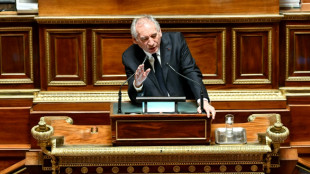 Retraites: Bayrou promet de soumettre au Parlement un accord m&ecirc;me partiel, sans satisfaire le PS