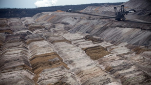 Une ONG préconise de convertir d'anciennes mines de charbon en fermes solaires