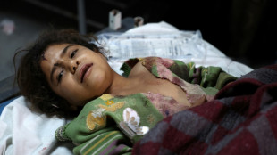 Nueve civiles muertos en Siria por bombardeos del r&eacute;gimen